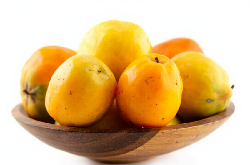  Taperebá (cajá): benefícios comprovados e receitas práticas