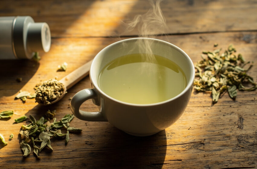  Chá verde termogênico: como ele age no metabolismo e o que a ciência diz