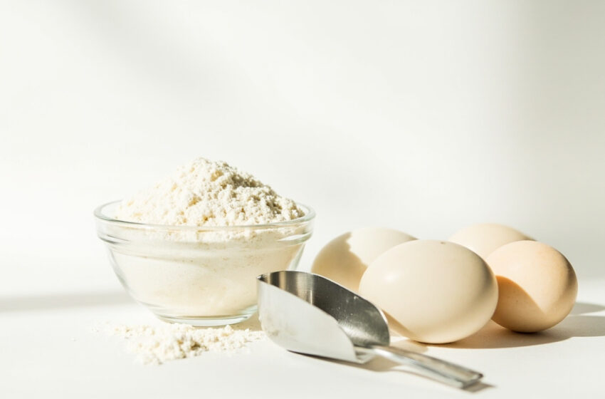  Albumina em pó: vale a pena? Guia completo e análise nutricional