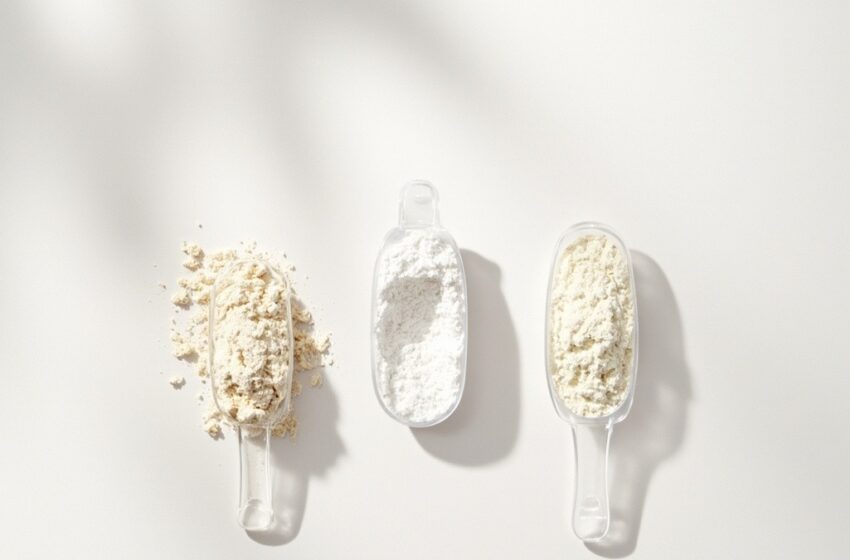  Whey concentrado, isolado e hidrolisado: como escolher o ideal